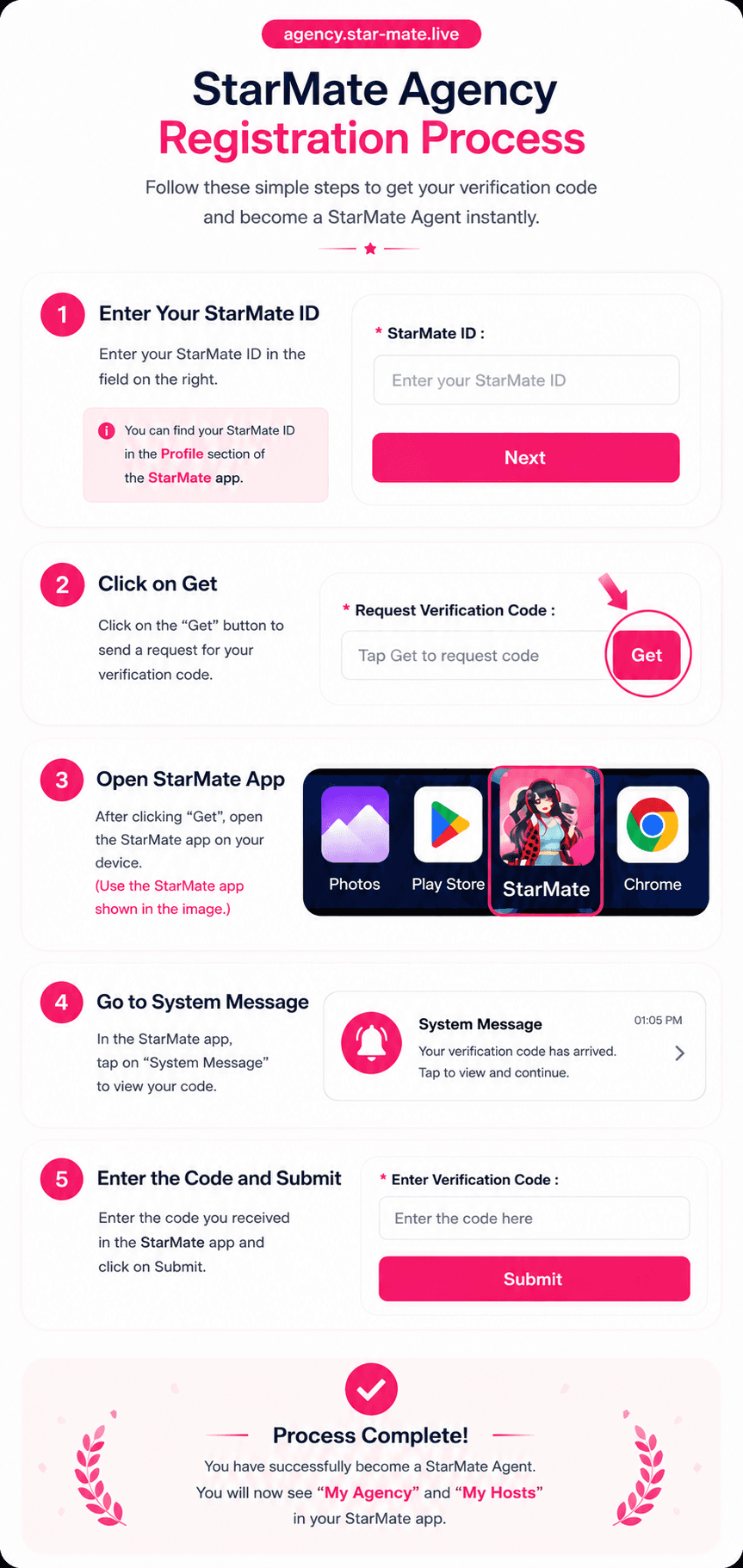 Step-by-step StarMate Agency Registration Process